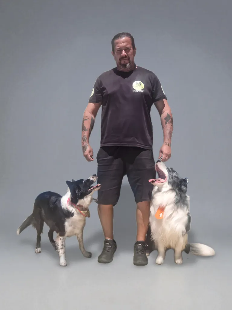 Paulo Bernardo em estúdio com dois border collies
